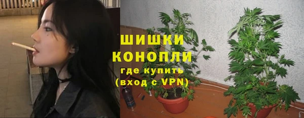 ECSTASY Ладушкин