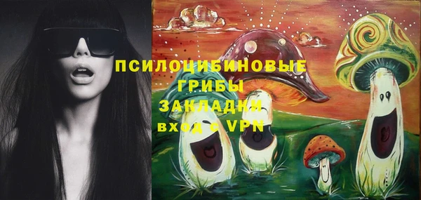2c-b Лабытнанги