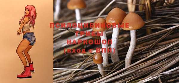 ECSTASY Ладушкин